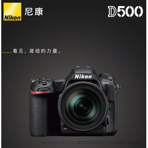 Nikon D500尼康宣傳彩頁Nikon D500 海報 宣傳冊Nikon D500 經銷商宣傳畫冊 Nikon D500展會宣傳圖 